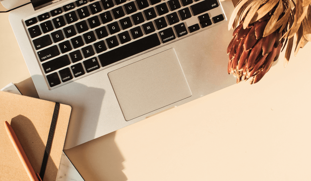 Free Book Mockup Generators & 3D Book Templates