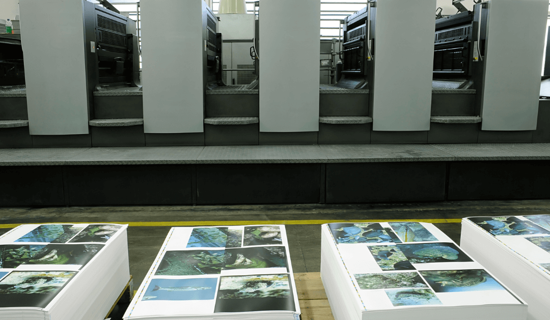 Book Printing Services: Author’s Guide to the Best Book Printing Services