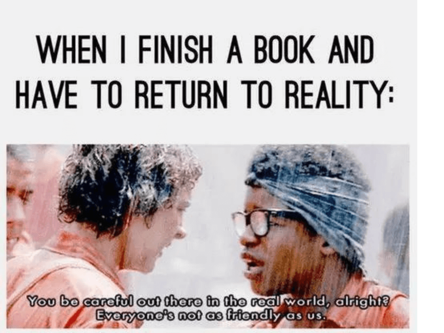 Reader Book Meme Example Returning To Reality After Reading A Book