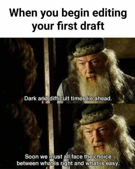 Writer Book Meme Example Editing Your First Draft