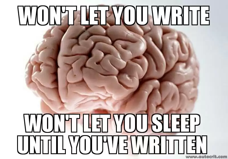 Writer Book Meme Example Your Writer Brain