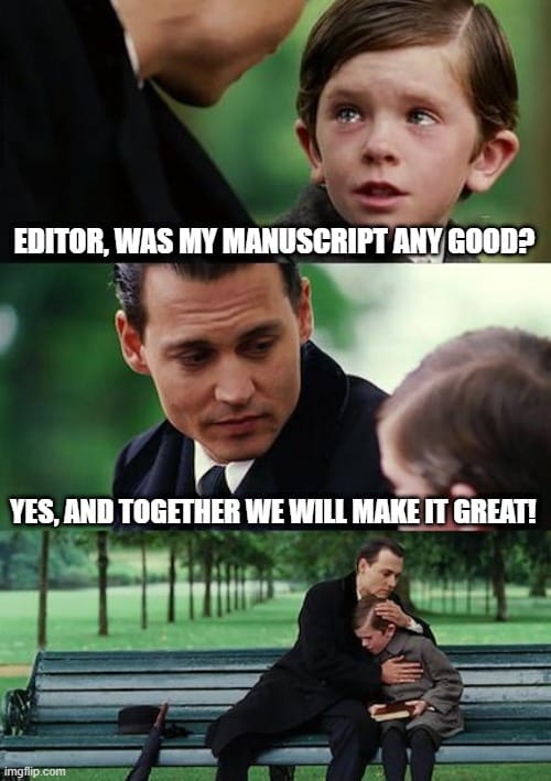 Funny Book Meme About Working With A Professional Editor