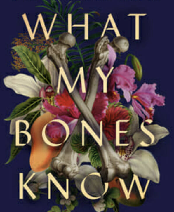 What My Bones Know Book Review – Picture of the Book Cover What My Bones Know Book Review - Picture of the Book Cover