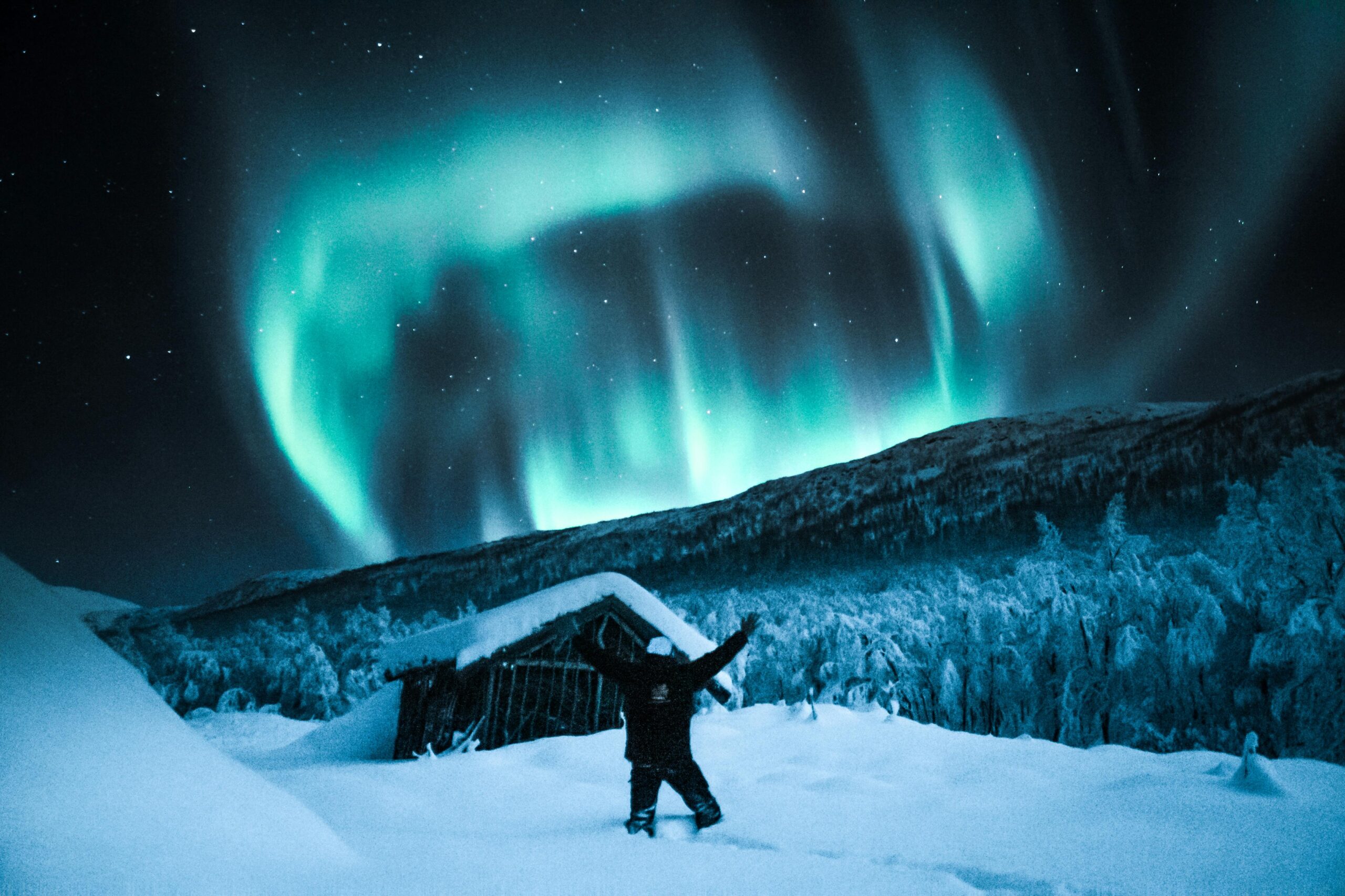 Elite Authors Review: Is it a Legit Service For Your Book? - a review of a publishing service for independent authors - photo of man in Northern Lights