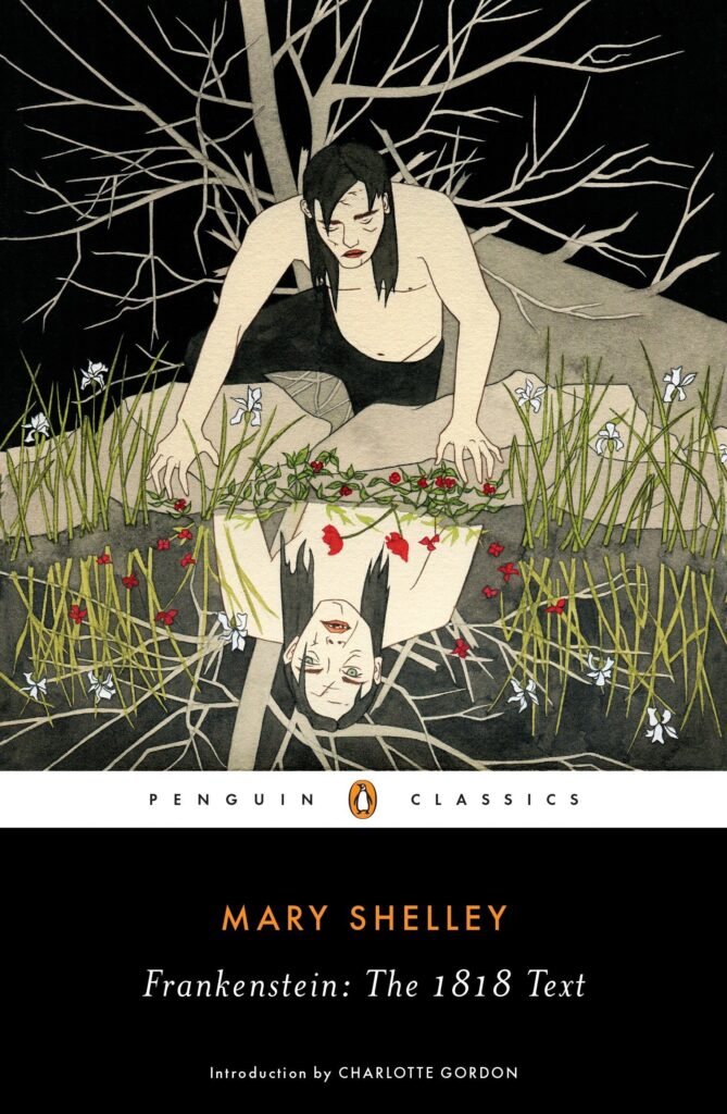 Image 3 Novel Outline Examples - Frankenstein
