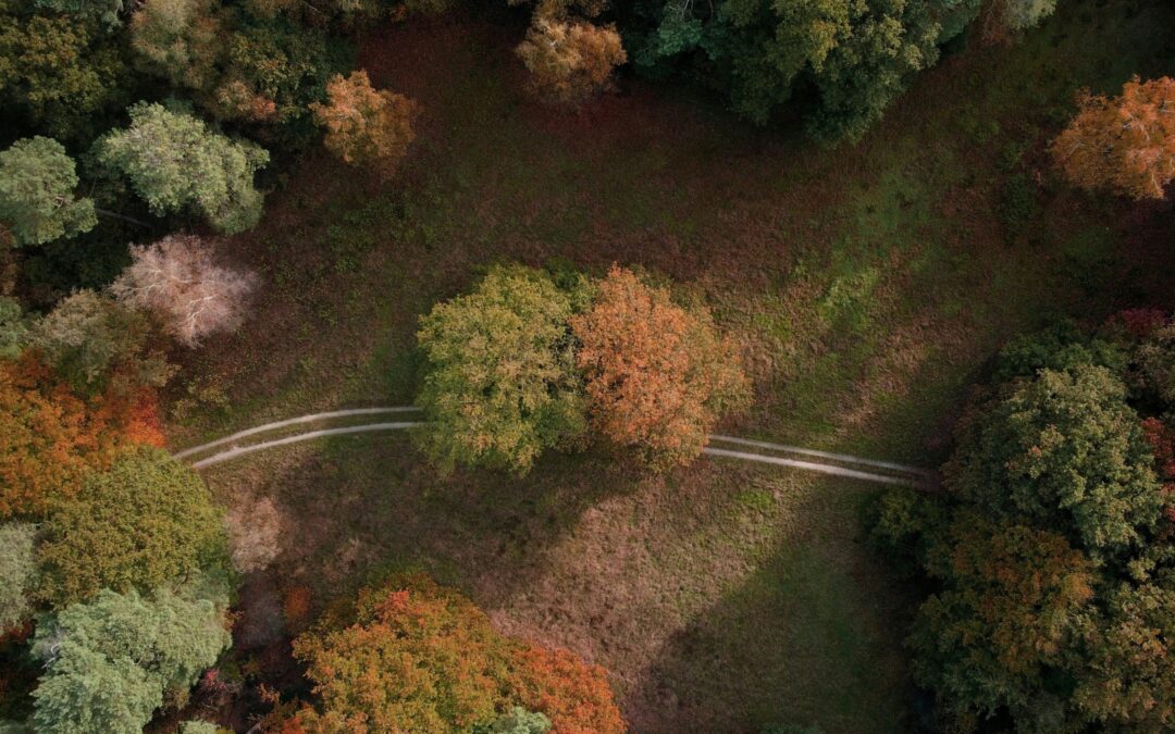 70 Maya Angelou Quotes on Life, Perseverance, and Writing