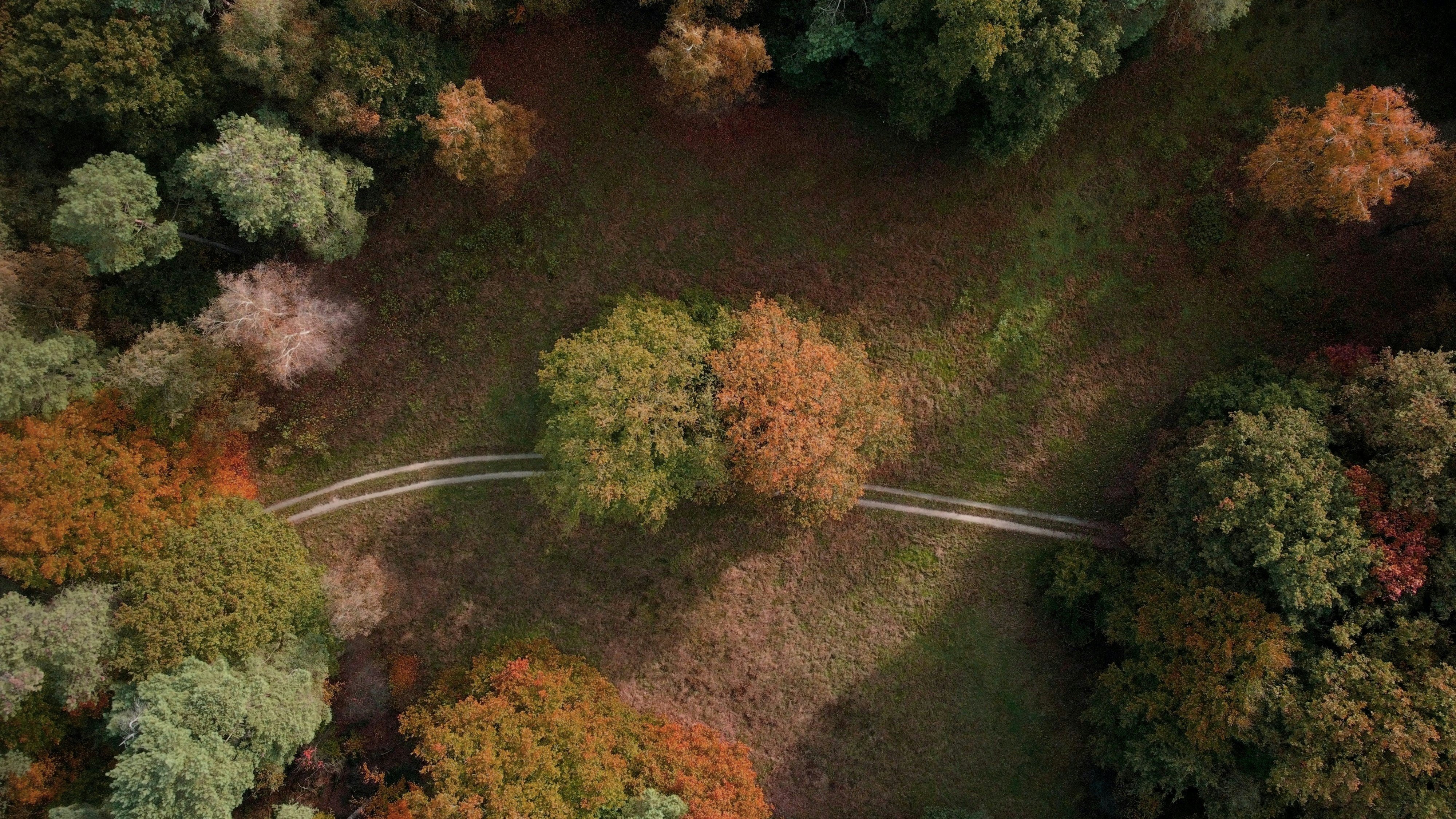 70 Maya Angelou Quotes On Life, Perseverance, And Writing