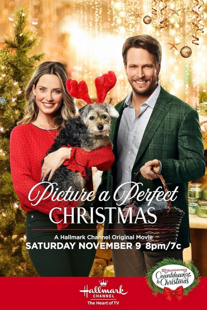 Image 21 5 Hallmark Movies Based On Books: Picture A Perfect Christmas