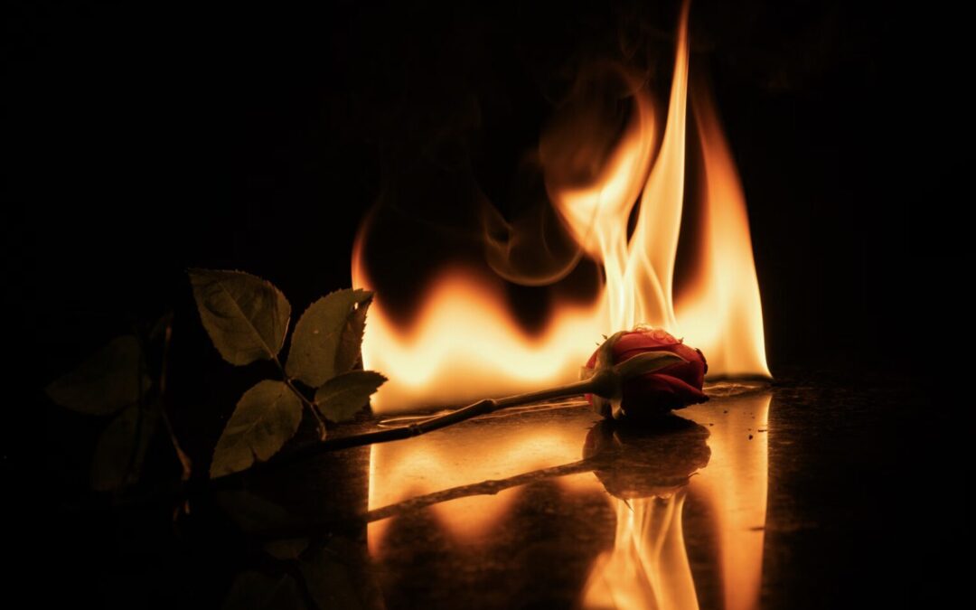 Dark Romance Subgenres: 14 Types Readers Are Obsessed With