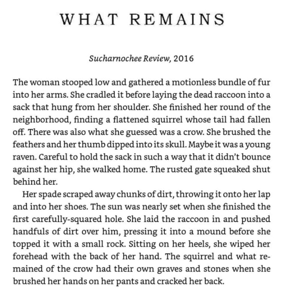 Flash Fiction Example